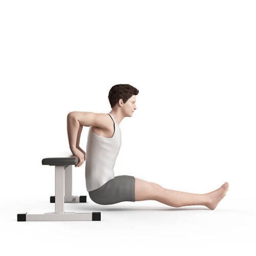Tricep Dips